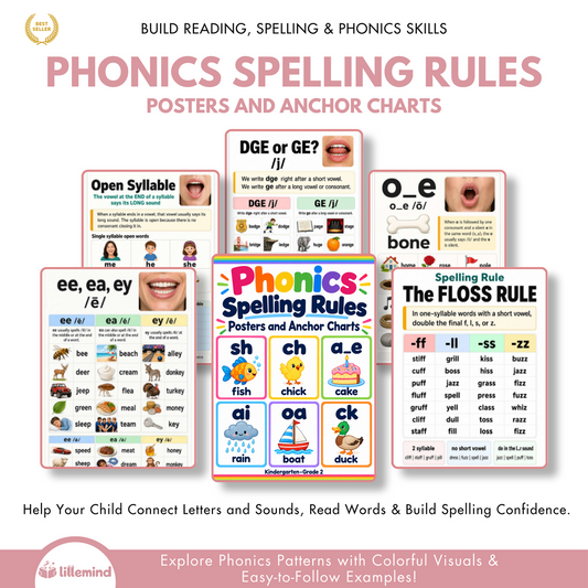 Phonics Spelling Rules Posters and Anchor Charts